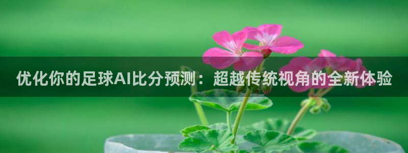 优化你的足球AI比分预测：超越传统视角的全新体验
