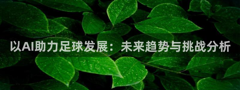 以AI助力足球发展：未来趋势与挑战分析