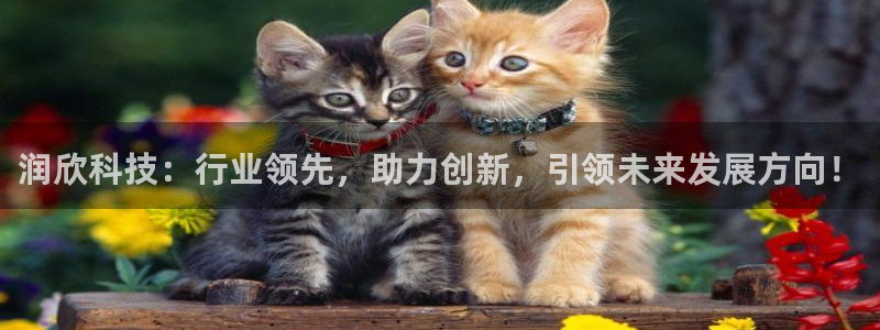 润欣科技：行业领先，助力创新，引领未来发展方向！