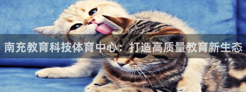 南充教育科技体育中心：打造高质量教育新生态
