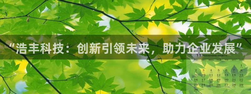 “浩丰科技：创新引领未来，助力企业发展”