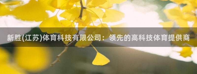 新胜(江苏)体育科技有限公司：领先的高科技体育提供商