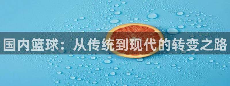 国内篮球：从传统到现代的转变之路