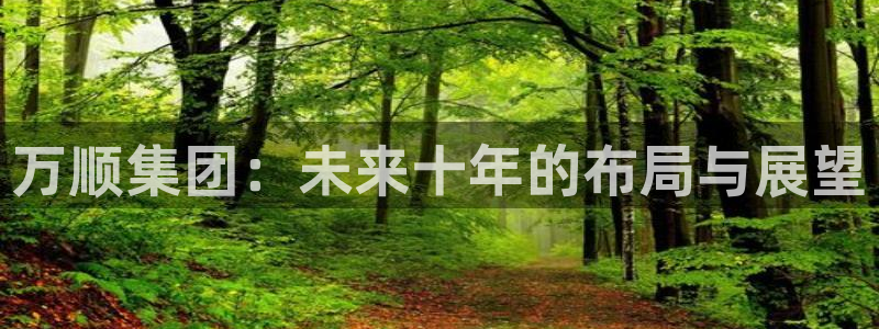万顺集团：未来十年的布局与展望