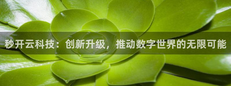 秒开云科技：创新升级，推动数字世界的无限可能