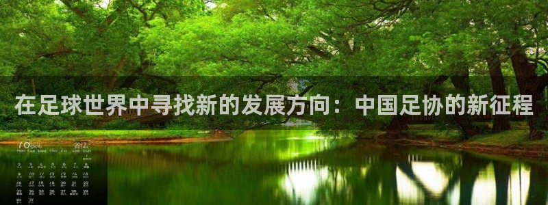在足球世界中寻找新的发展方向：中国足协的新征程