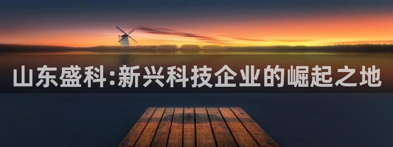 山东盛科:新兴科技企业的崛起之地