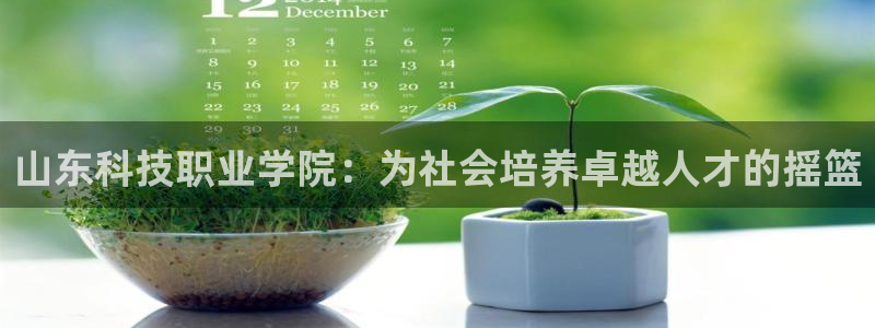 山东科技职业学院：为社会培养卓越人才的摇篮