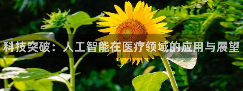 科技突破：人工智能在医疗领域的应用与展望