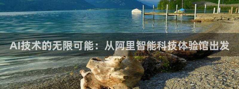 AI技术的无限可能：从阿里智能科技体验馆出发