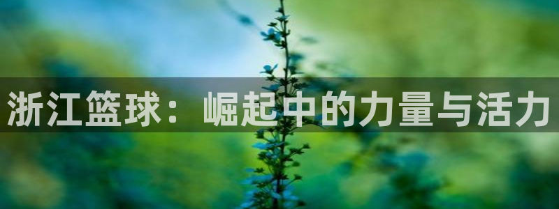 浙江篮球：崛起中的力量与活力