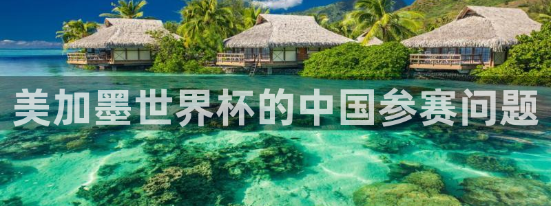 美加墨世界杯的中国参赛问题