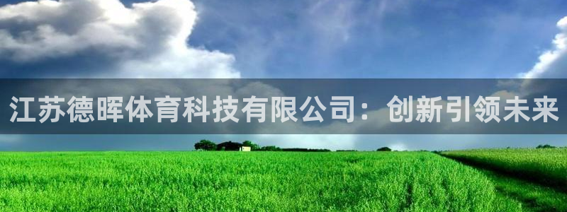 江苏德晖体育科技有限公司：创新引领未来
