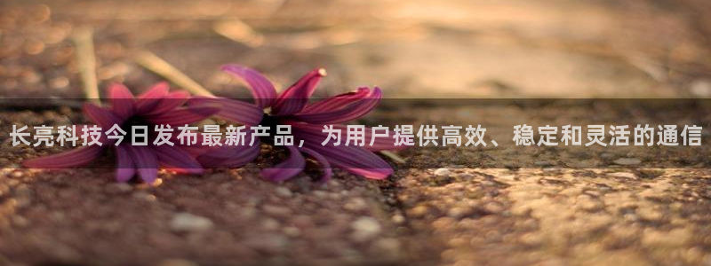 长亮科技今日发布最新产品，为用户提供高效、稳定和灵活的通信