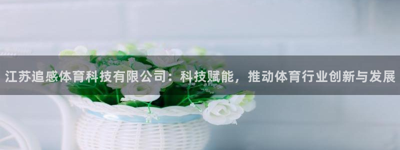江苏追感体育科技有限公司：科技赋能，推动体育行业创新与发展