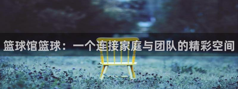 篮球馆篮球：一个连接家庭与团队的精彩空间