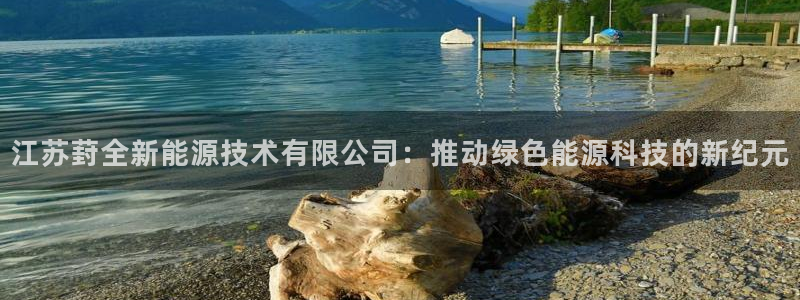 江苏葑全新能源技术有限公司：推动绿色能源科技的新纪元
