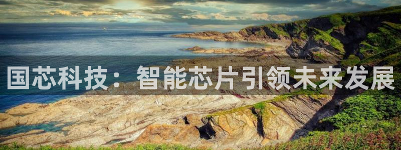 国芯科技：智能芯片引领未来发展