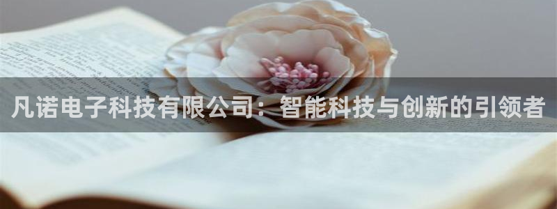 凡诺电子科技有限公司：智能科技与创新的引领者