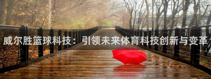 威尔胜篮球科技：引领未来体育科技创新与变革