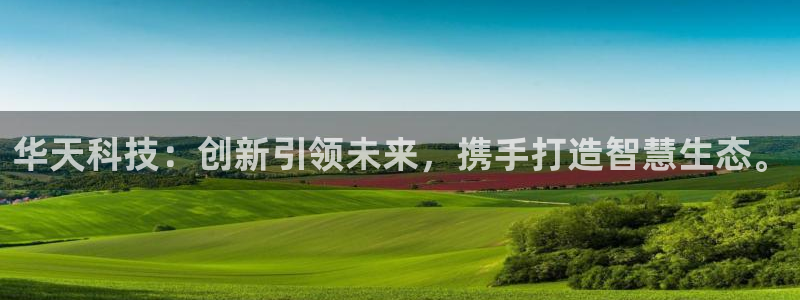 华天科技：创新引领未来，携手打造智慧生态。