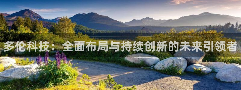 多伦科技：全面布局与持续创新的未来引领者