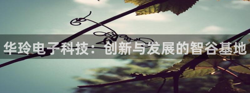 华玲电子科技：创新与发展的智谷基地