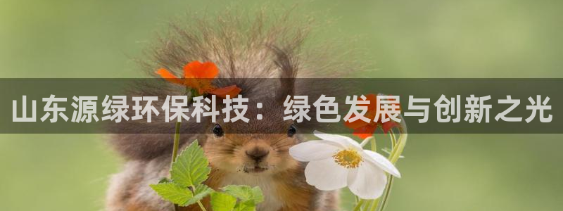 山东源绿环保科技：绿色发展与创新之光