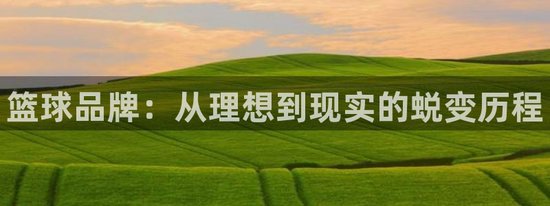 篮球品牌：从理想到现实的蜕变历程