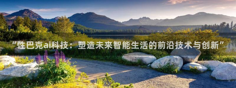 “性巴克ai科技：塑造未来智能生活的前沿技术与创新”